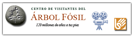 Vídeo de los Árboles Fósiles y el Centro de Visitantes. Subtitulado y adaptado a la Lse.